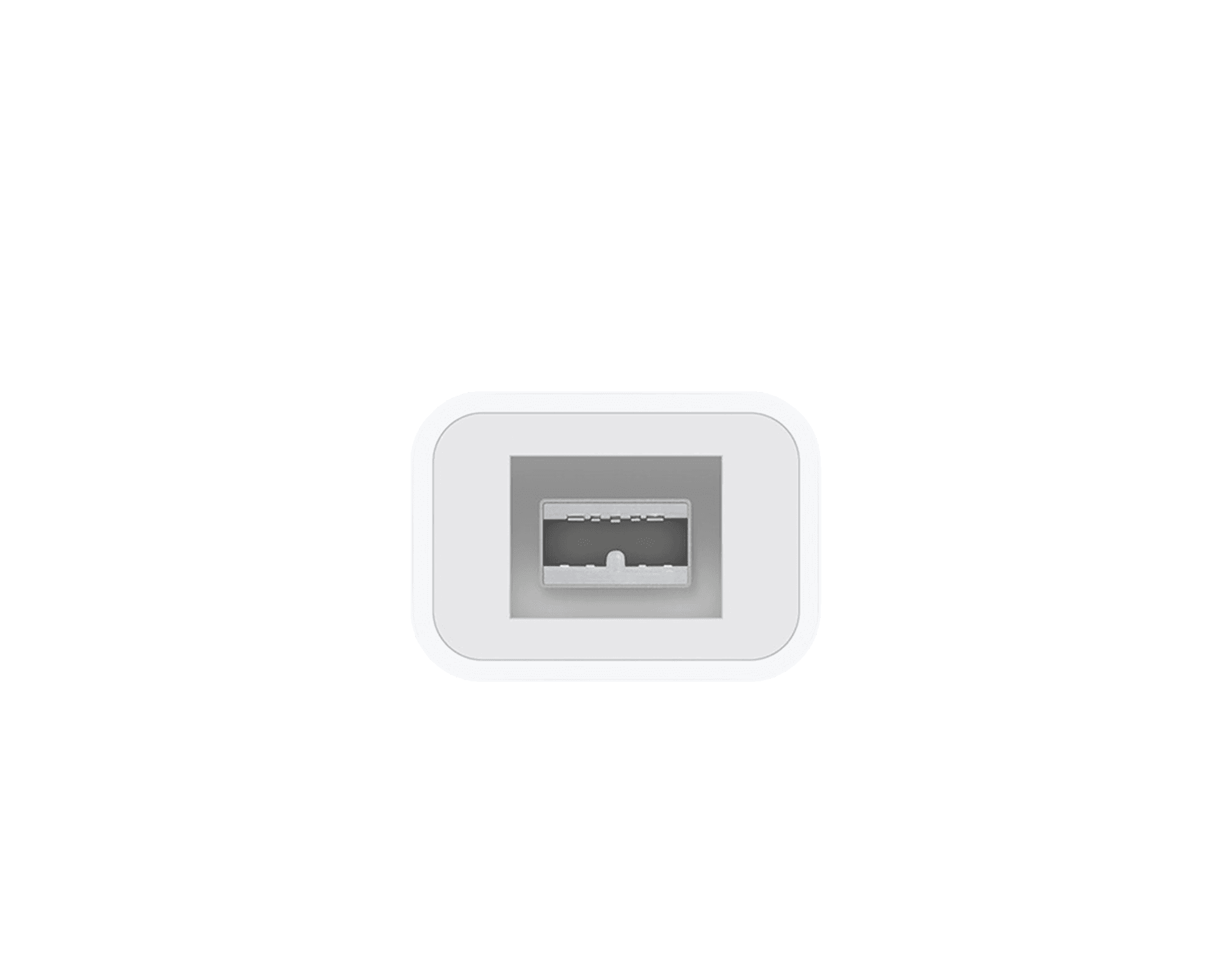 Adaptador-de-Thunderbolt-2-a-FireWire-800---2.png